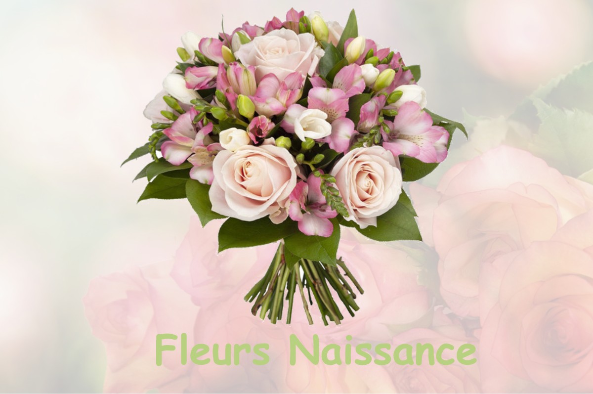 fleurs naissance CHATILLON-SUR-LOIRE