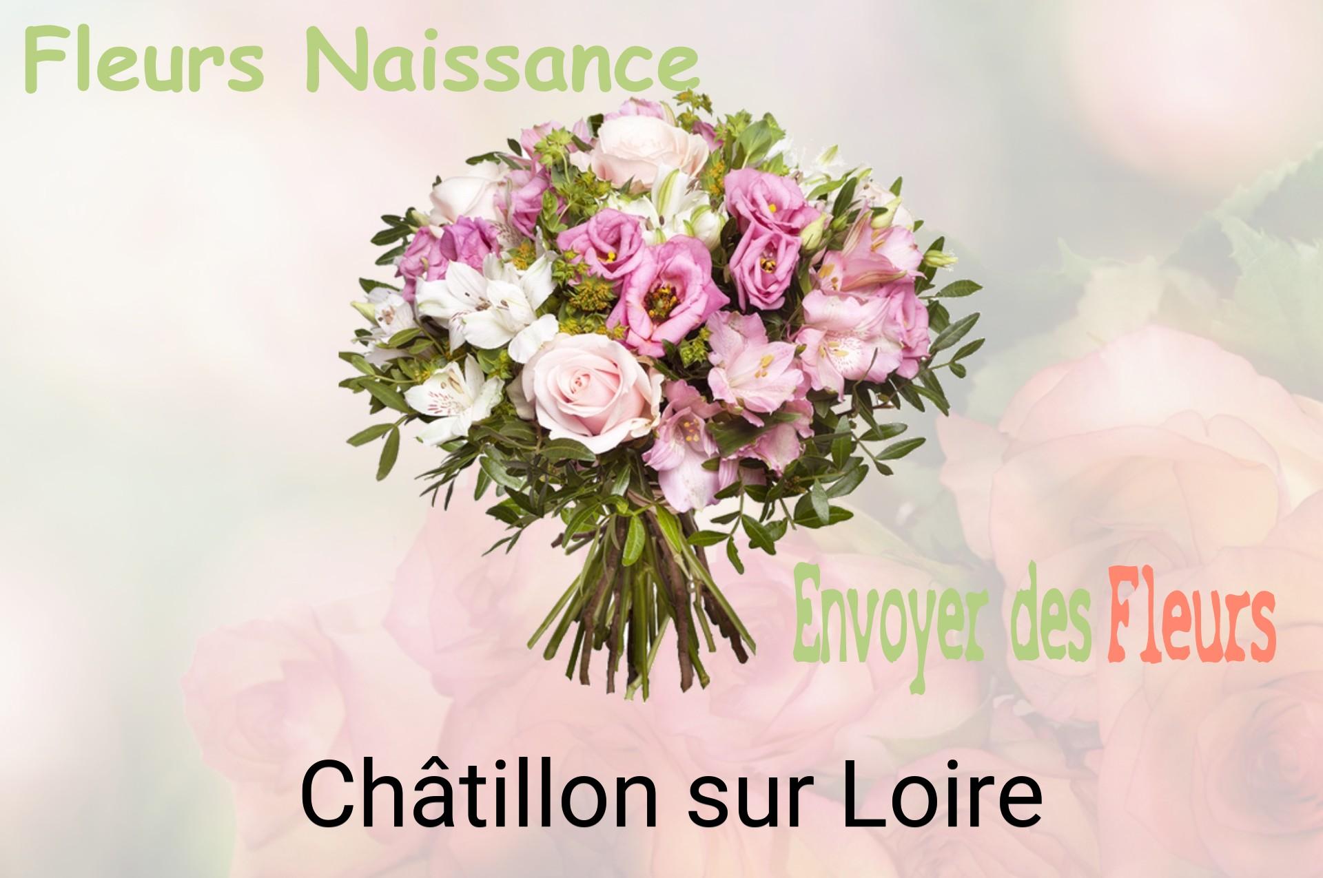 Bouquet de fleurs de naissance livré à Châtillon-sur-Loire