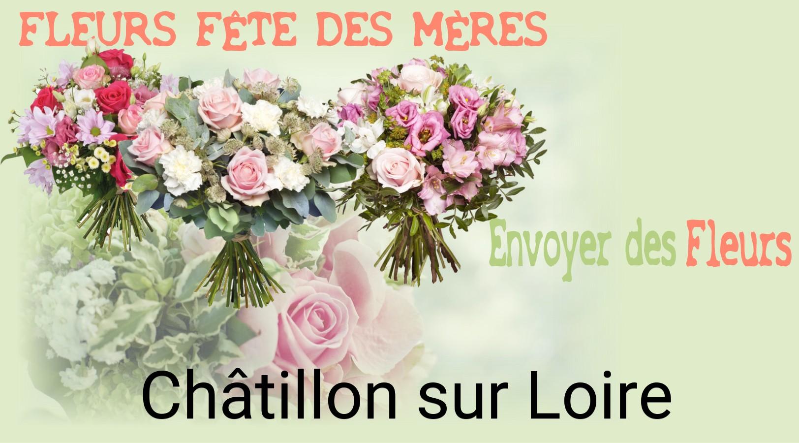 Bouquet de Fête des Mères livré à Châtillon-sur-Loire