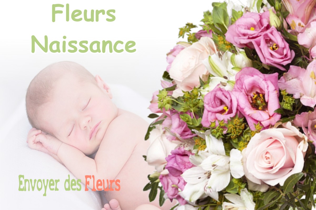 lIVRAISON FLEURS NAISSANCE à CHATILLON-SUR-LOIRE